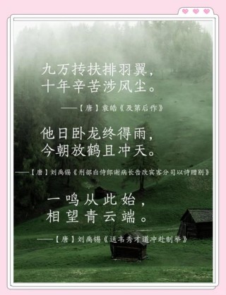 立鲲鹏腾飞之志，扬九全南校之魂