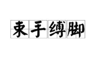 手脚并用 （打二字）
