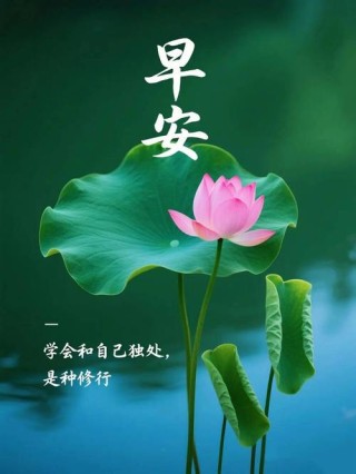无怨无德，不庸人自扰；钱多钱少，把日子过好，早安