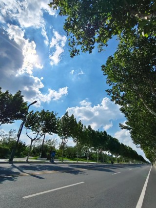 再繁忙的工作也不要错过路边的风景