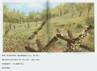 铁丝呢，我的铁丝都去哪了