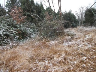 2011年的第一场雪