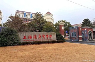 2026上海健康医学院各专业在湖南招生人数、录取分数线（附：招生计划表）
