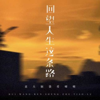 回望人生