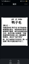 叫对了这些，你的河南方言能过八级 | 豫记
