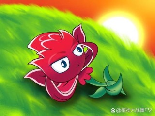 苦瓜的梦魔