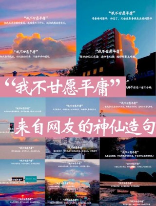 不做梦的人必定平庸