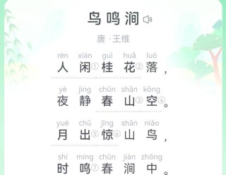 大唐诗人贾岛经典五言诗作，鸟宿池边树，僧敲月下门
