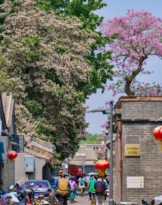 北京的胡同