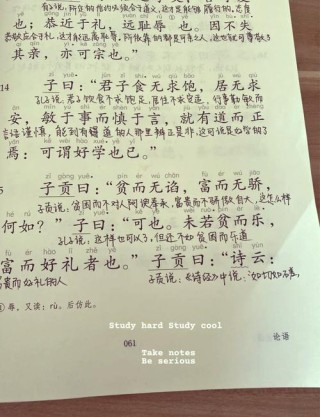 以诗书充饥 （打一成语）