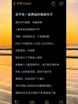高冷又随性的句子，高冷随性之语