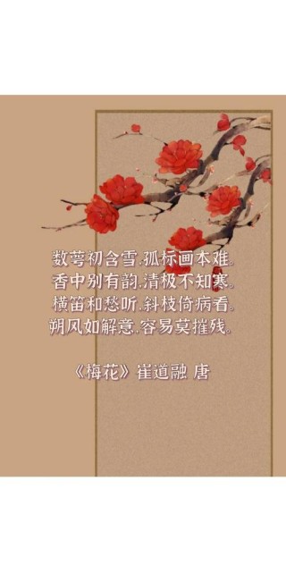 10首咏雪诗词，柳絮风起，枝头花开，唯美了整个冬天