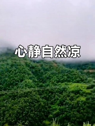 心静自然凉