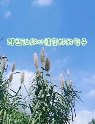 唯美句子，心情愉悦的唯美时刻，与你分享我的小确幸