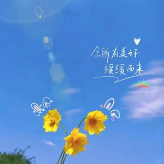 阳光正好的唯美句子，感受心中的那一抹温暖