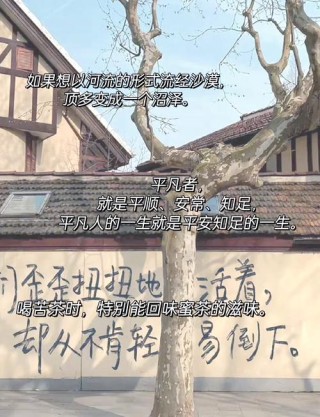 人间至美是清欢 | 林清玄经典语录，句句美到落泪