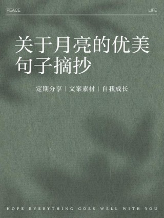 50句超唯美的宝藏短句，保证你一眼就爱上：山中若有眠，枕的是月