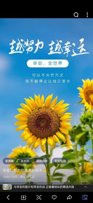 鼓励自己积极生活的早安励志一句话，万事皆不易，唯有更努力20句