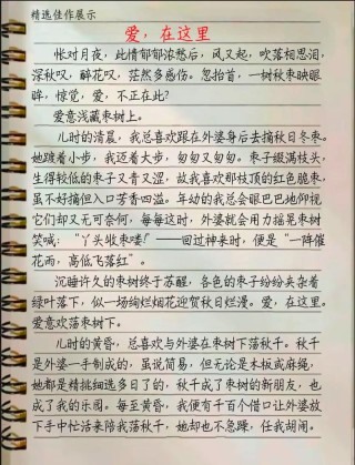 关于爱的议论文高中