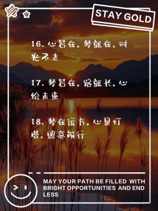 人生经典语录：有路，就大胆去走；有梦，就大胆飞翔