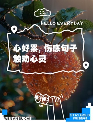 一个人心累了的伤感说说，很压抑很无奈，看完好想哭！