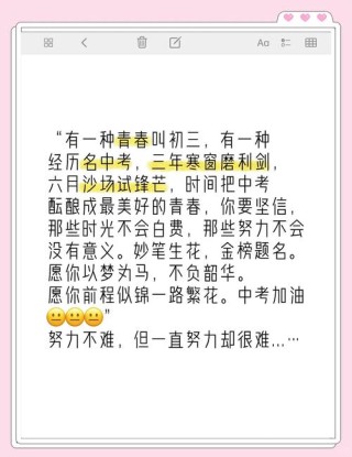 初三时写下的励志语录2
