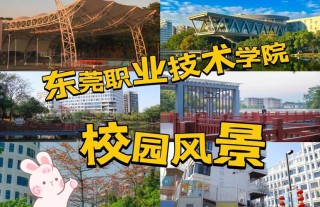 东莞有哪些职业技术学院