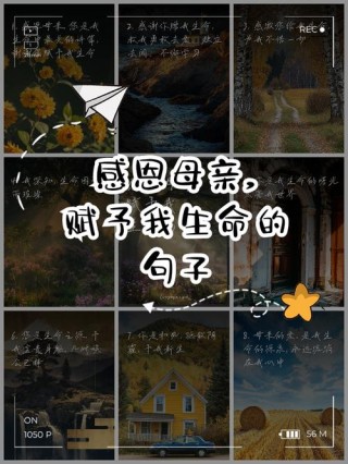 15个暖心短句感恩妈妈，让你的母亲节更温馨