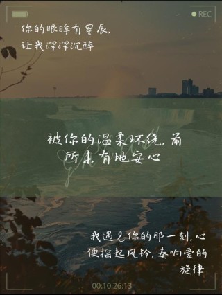 最含蓄智慧的表白，送给“单身狗”的你
