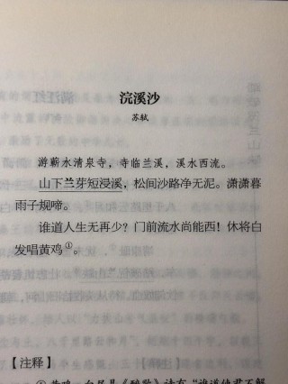 随流沙去