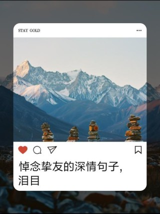 永不忘记海外挚友