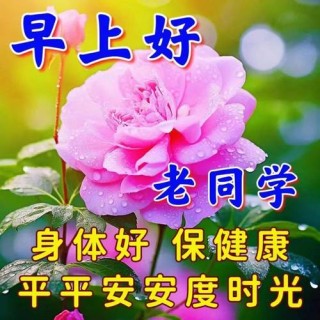 中老年简短问候祝福语，老同学清晨问好句子