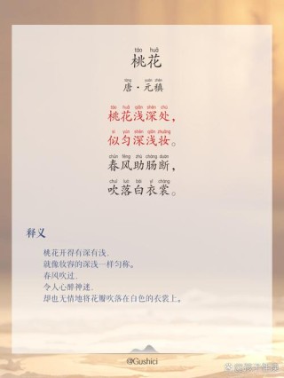60句桃花诗词，惊艳了整个春天