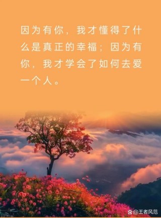 我的心里你曾住过