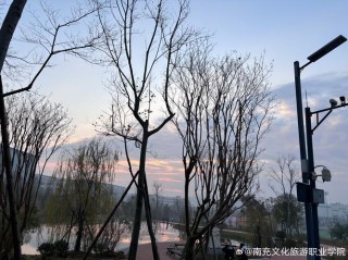 默默守望，寂静，欢喜