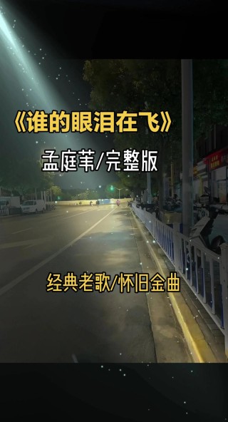 谁的眼泪在飞