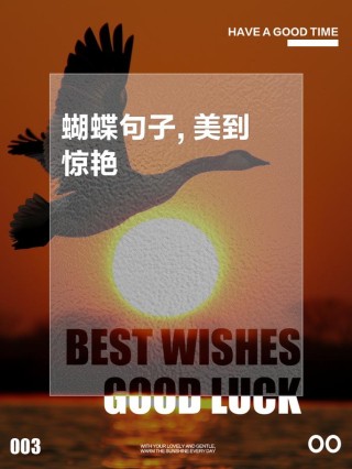 关于蝴蝶的佳句：绚丽飞舞，蝶翼羽化