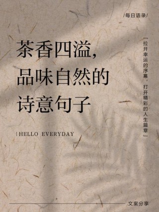 茶语心情