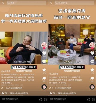 陈丹青“人生没有意义”
