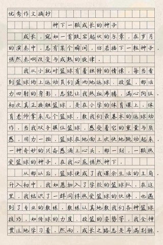 在内心种下两颗种子?励志文章