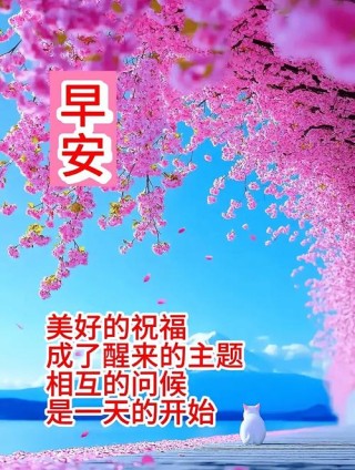 清晨祝福爱人暖心语录问候句子，很动心的话语