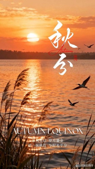 秋分时光