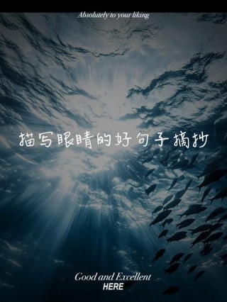如何形容一个人的眼睛很好看？