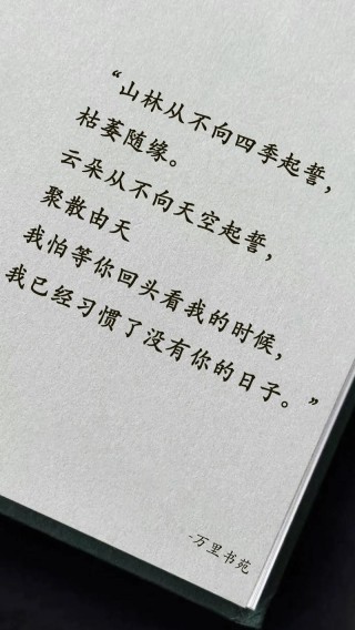 没有你的日子，我攒了太多的话语