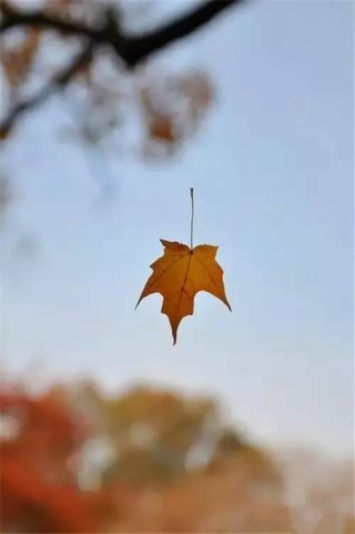 何时，再有那片静