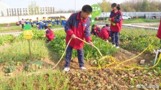 安远县东江源小学：劳动基地勤耕耘 绿意盎然喜丰收