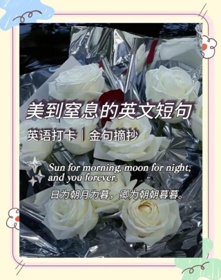 简单却唯美的英语句子