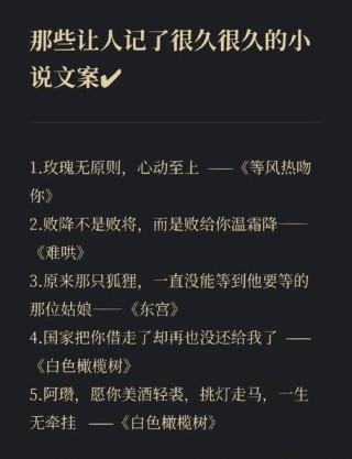 “小说中能记很久的绝佳句子”