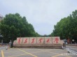 青岛农业大学2025年在湖北录取分数线是多少（2025~2023近三年分数位次）