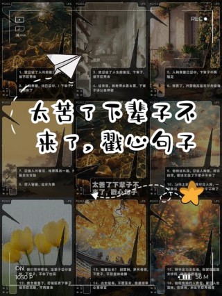 心酸语录..我原先以为人只会苦一阵子，没想到可能会苦一辈子。